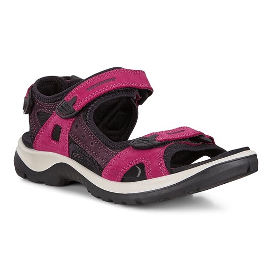 Plaske regulere kind Ecco Offroad sandal i pink | 069563 | Holstsko.dk
